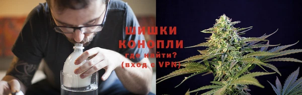 трава Богородицк