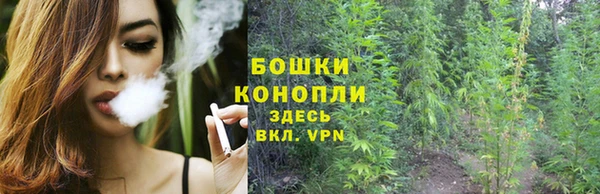 СК Арсеньев
